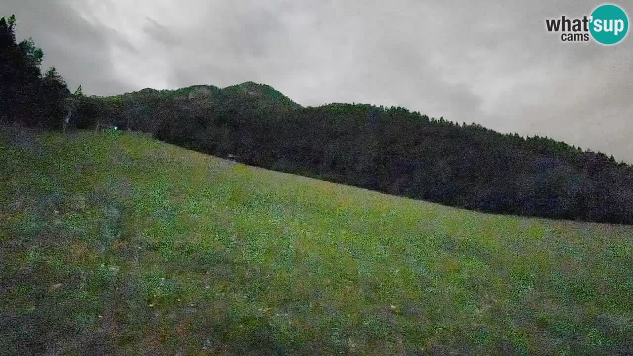 RTC Kranjska Gora | Brsnina