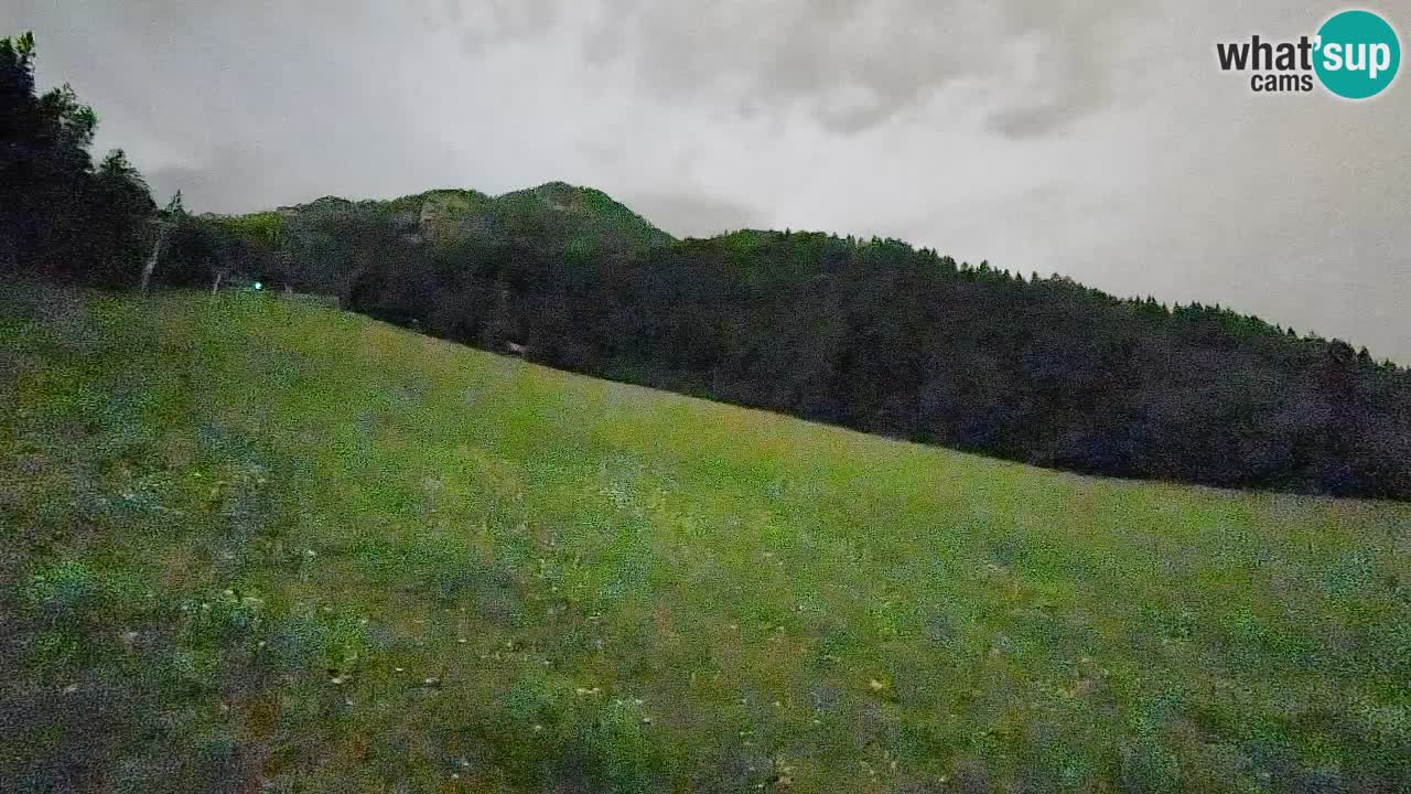 Ski Kranjska Gora | Brsnina