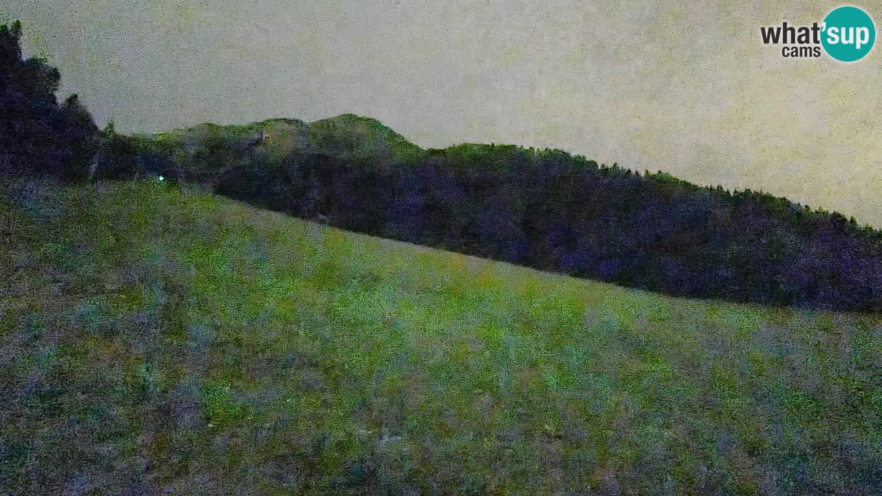RTC Kranjska Gora | Brsnina
