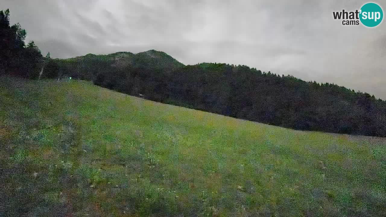 Kranjska Gora Station de ski | Brsnina