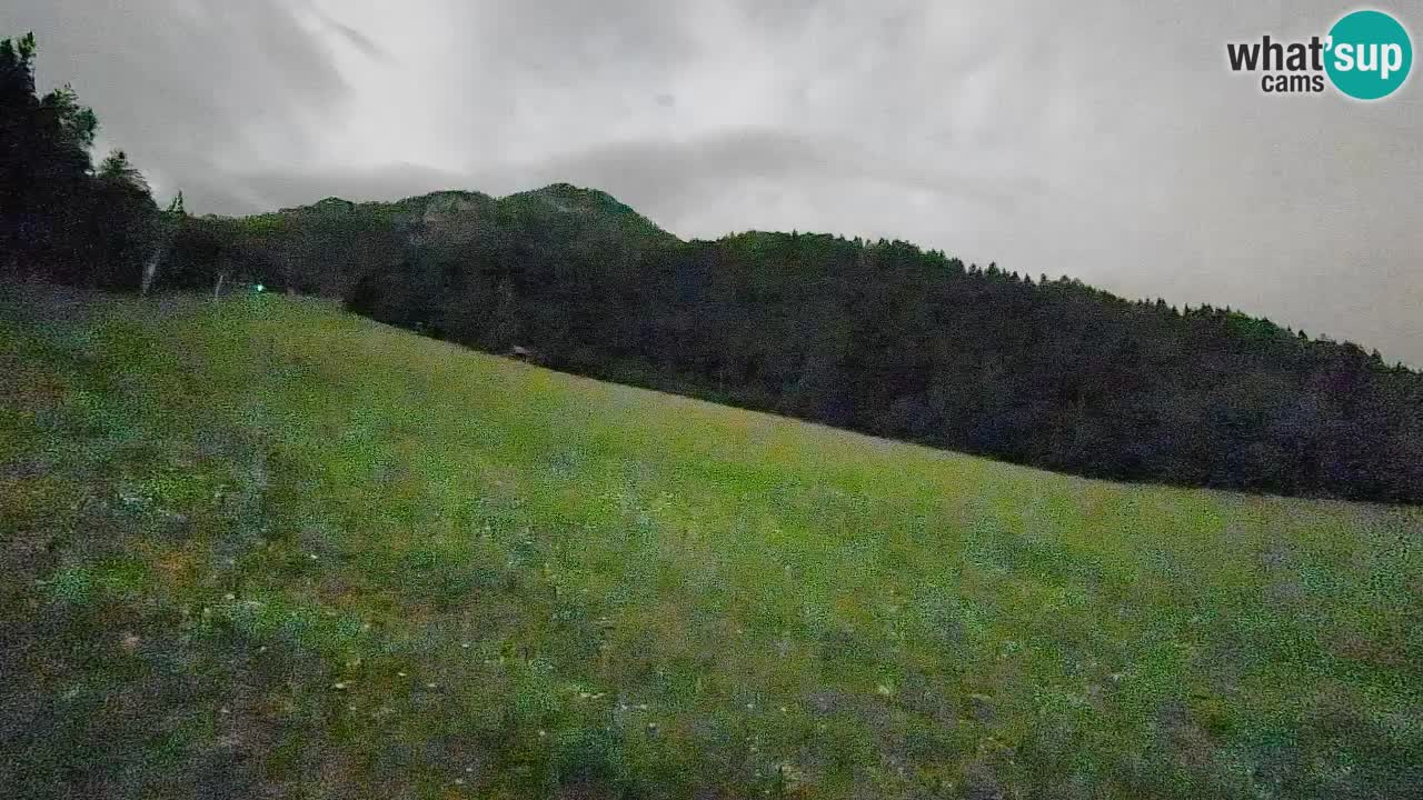 RTC Skigebiet Kranjska Gora | Brsnina