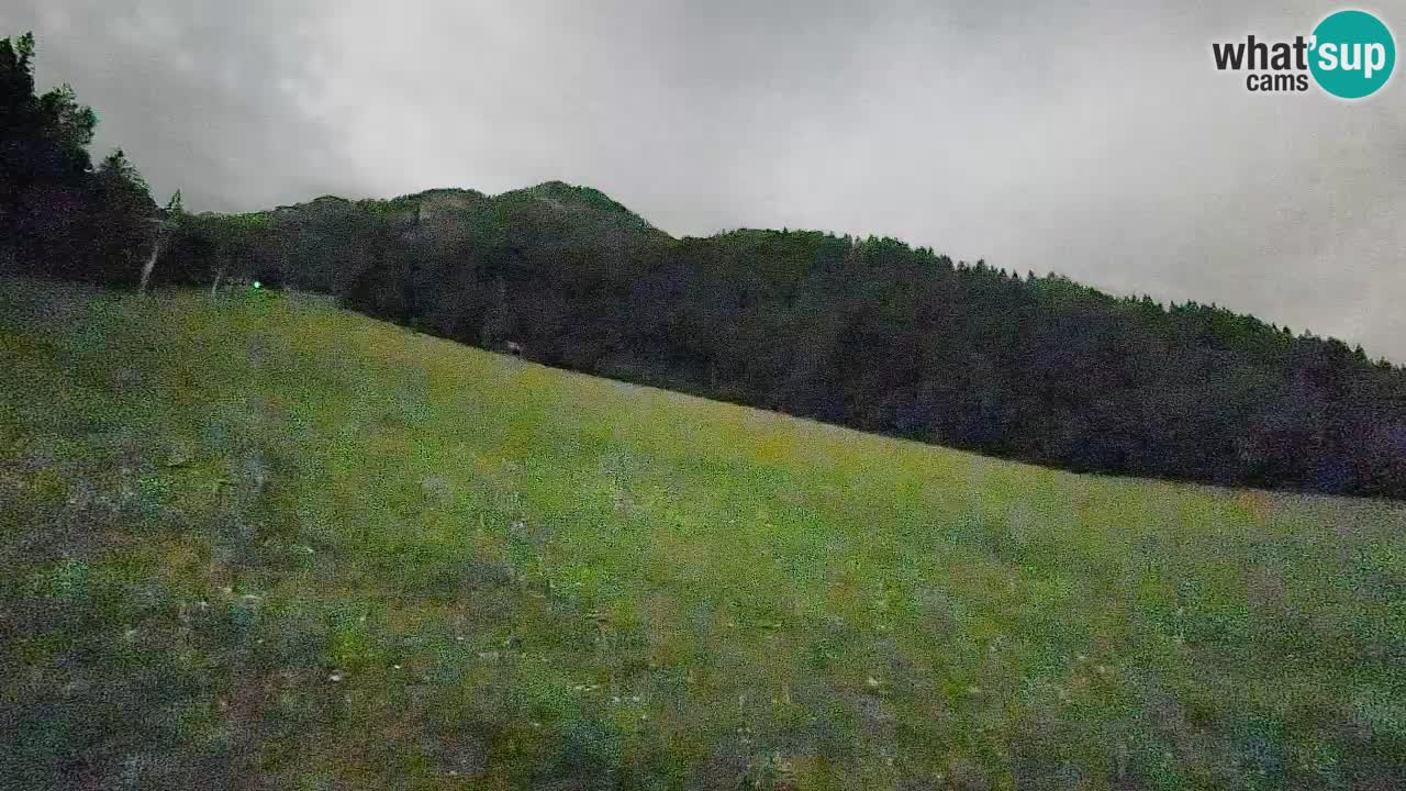Kranjska Gora SKIJANJE | Brsnina