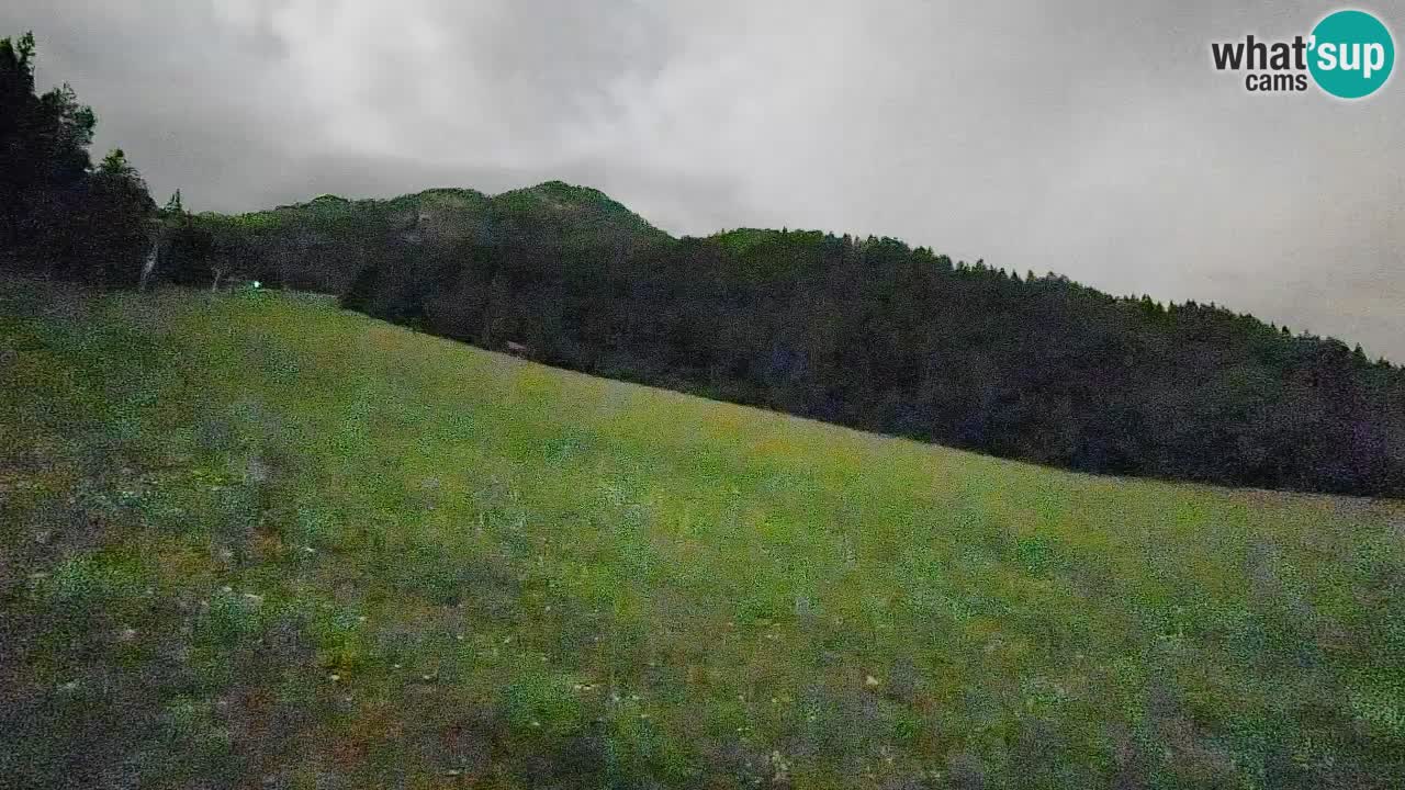 Kranjska Gora Station de ski | Brsnina