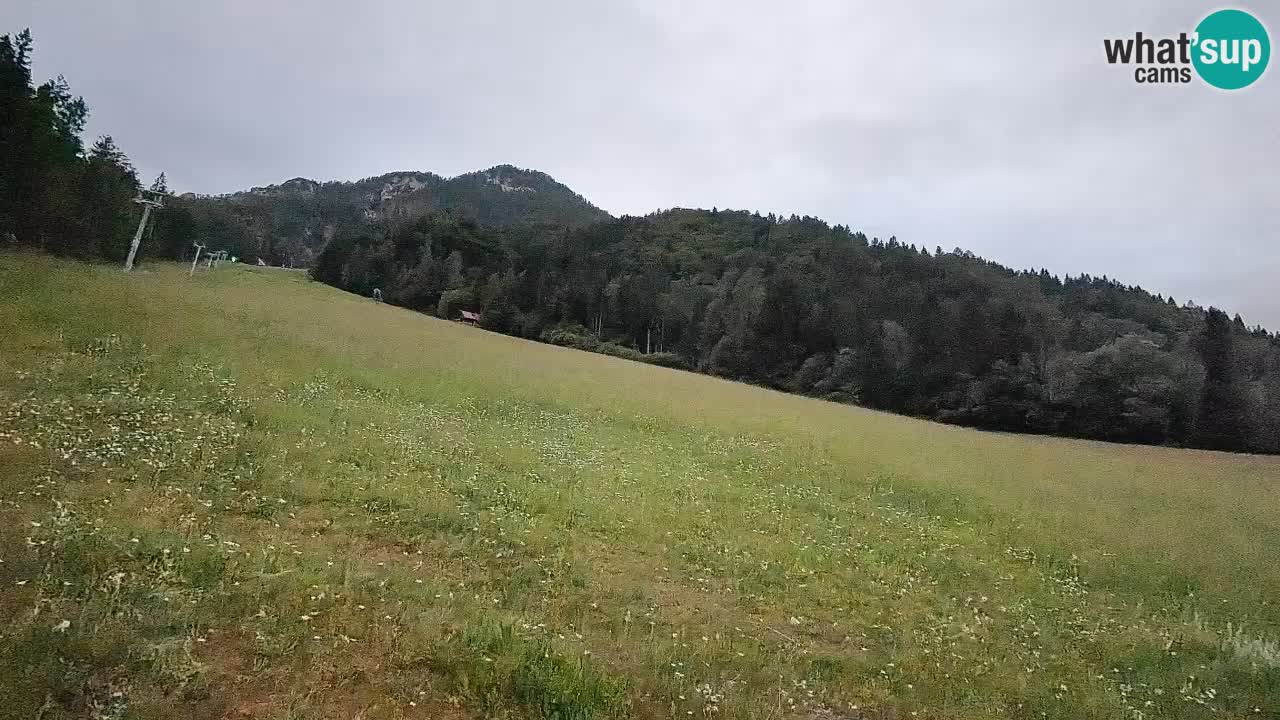Ski Kranjska Gora | Brsnina