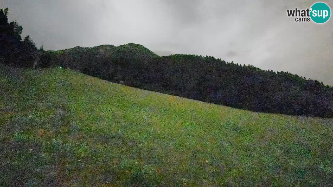 Ski Kranjska Gora | Brsnina