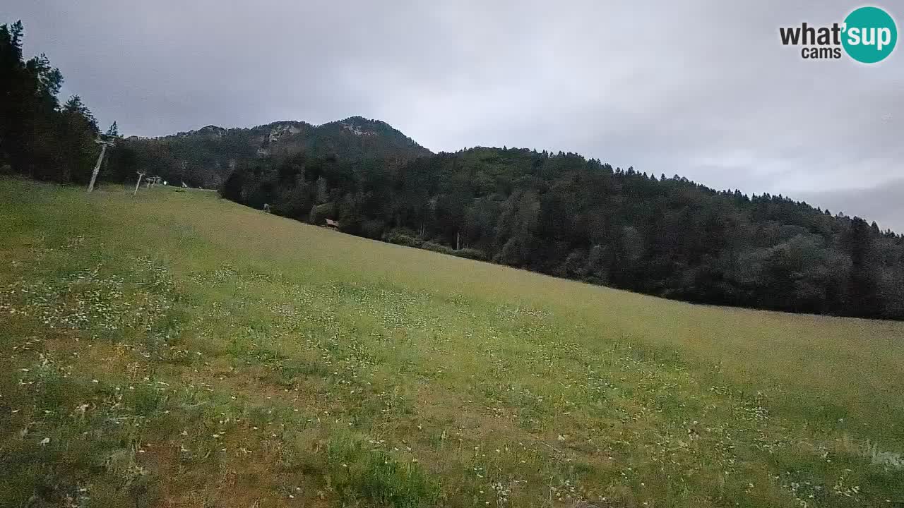 RTC Skigebiet Kranjska Gora | Brsnina
