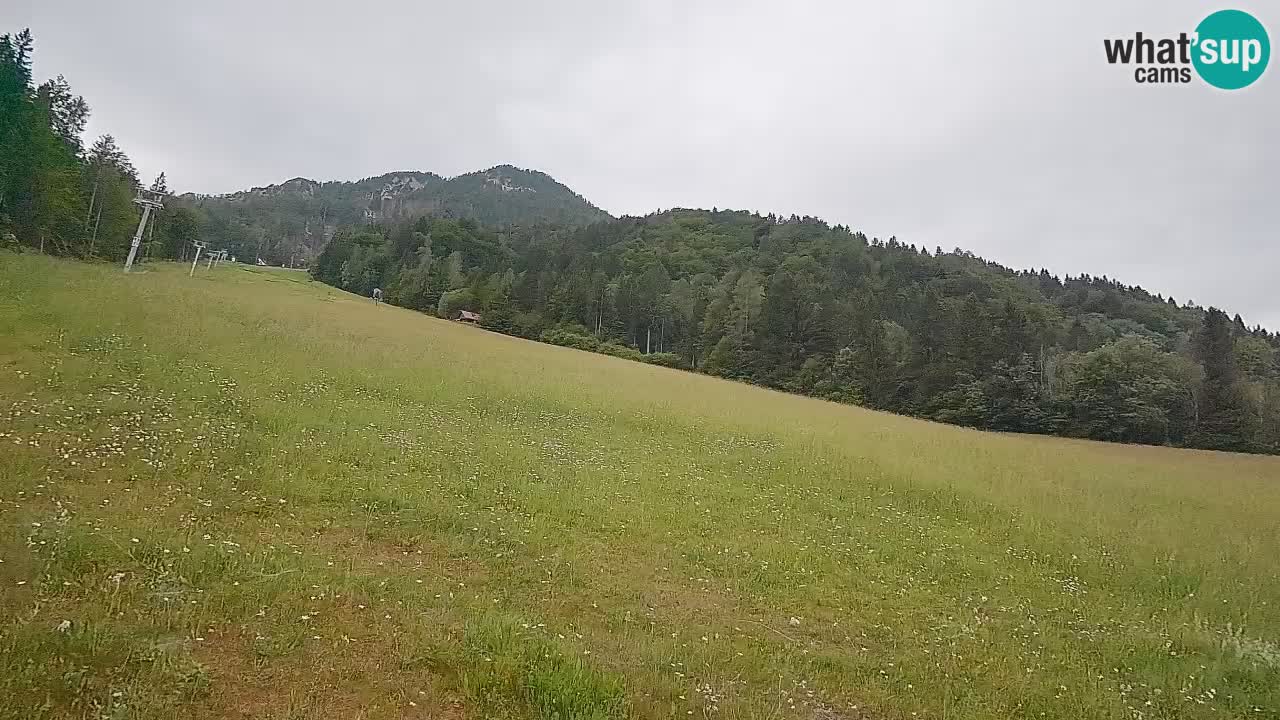 Kranjska Gora Station de ski | Brsnina