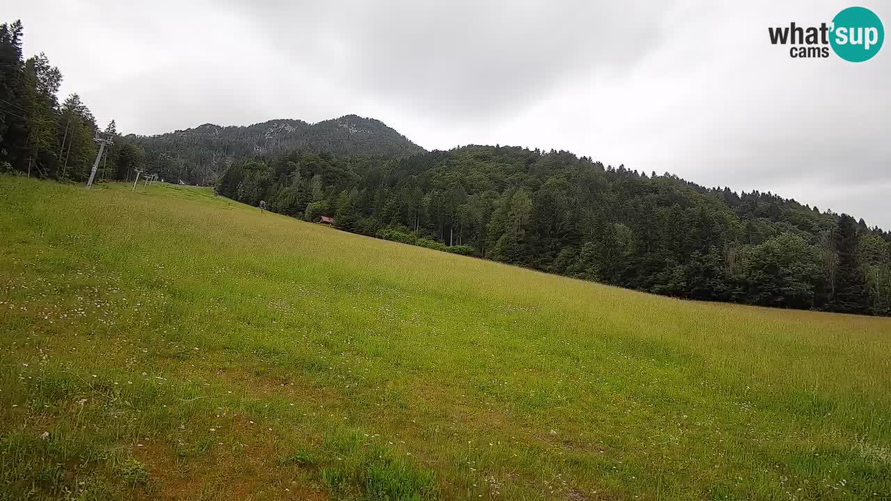 RTC Skigebiet Kranjska Gora | Brsnina