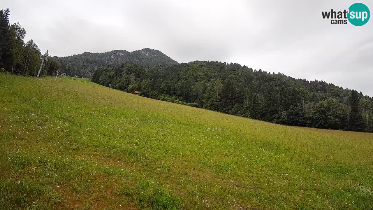 Esquí Kranjska Gora | Brsnina