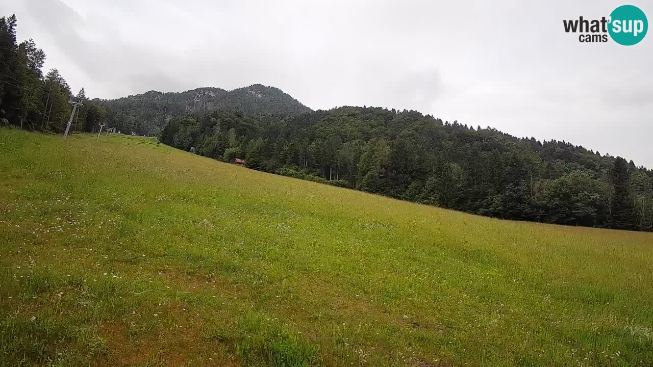 Kranjska Gora Station de ski | Brsnina