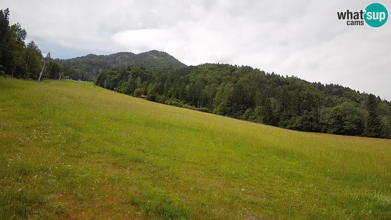 Ski Kranjska Gora | Brsnina