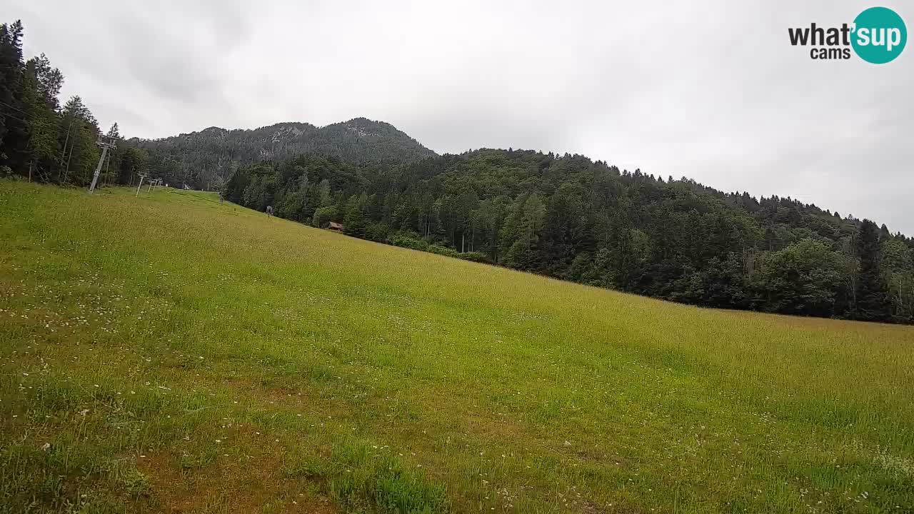 Kranjska Gora SKIJANJE | Brsnina