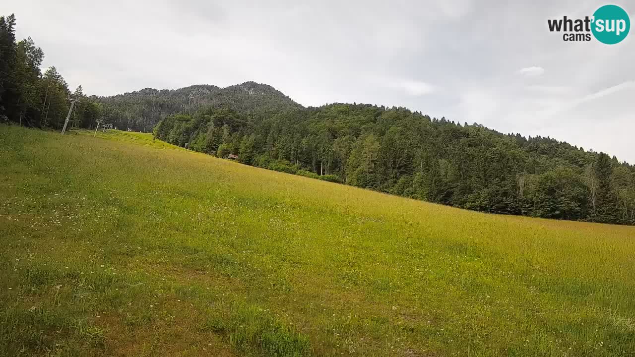 Ski Kranjska Gora | Brsnina