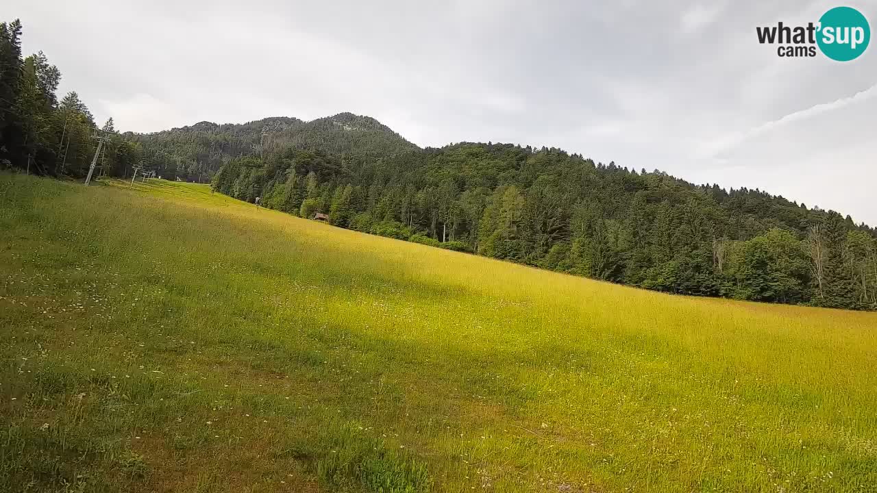 RTC Kranjska Gora | Brsnina