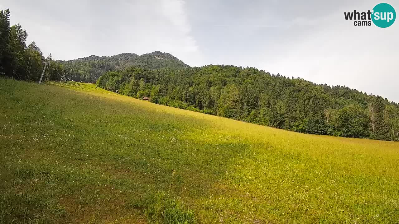 RTC Skigebiet Kranjska Gora | Brsnina