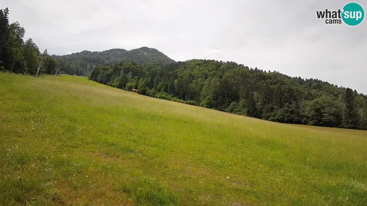 Esquí Kranjska Gora | Brsnina