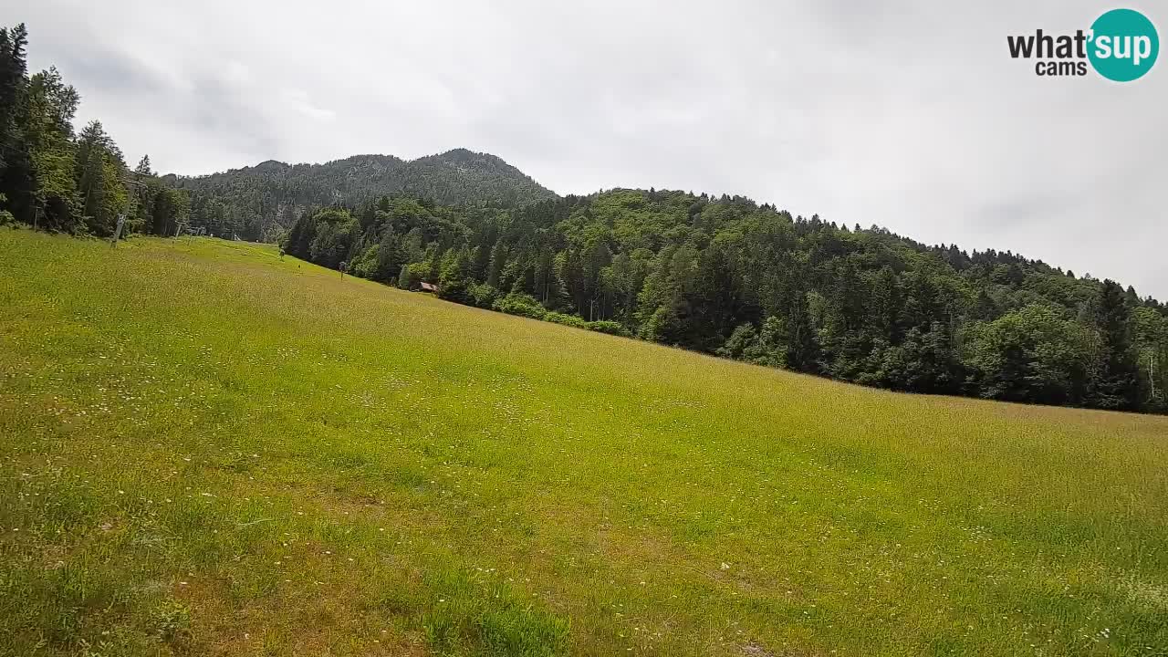Comprensorio sciistico Kranjska Gora | Brsnina