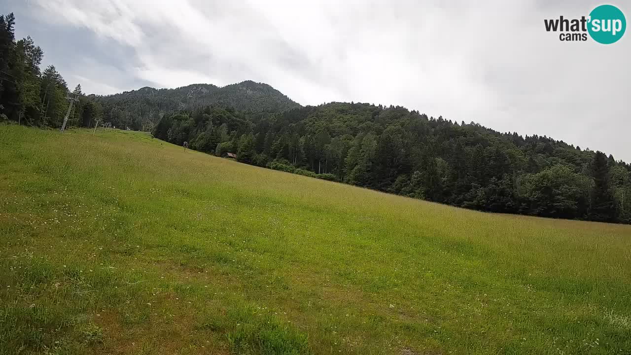 RTC Skigebiet Kranjska Gora | Brsnina