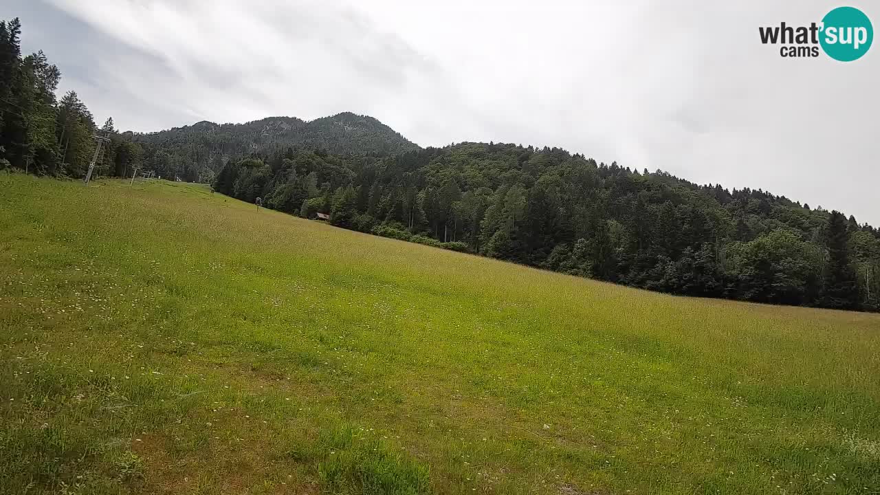 Ski Kranjska Gora | Brsnina