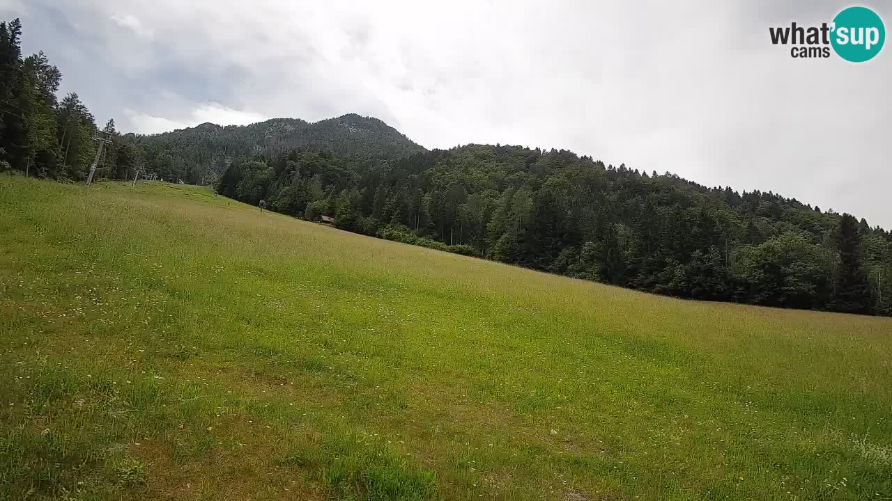 Ski Kranjska Gora | Brsnina