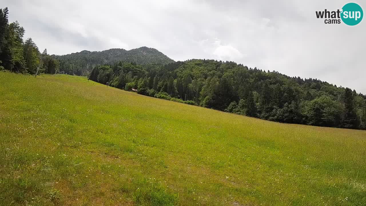 Comprensorio sciistico Kranjska Gora | Brsnina