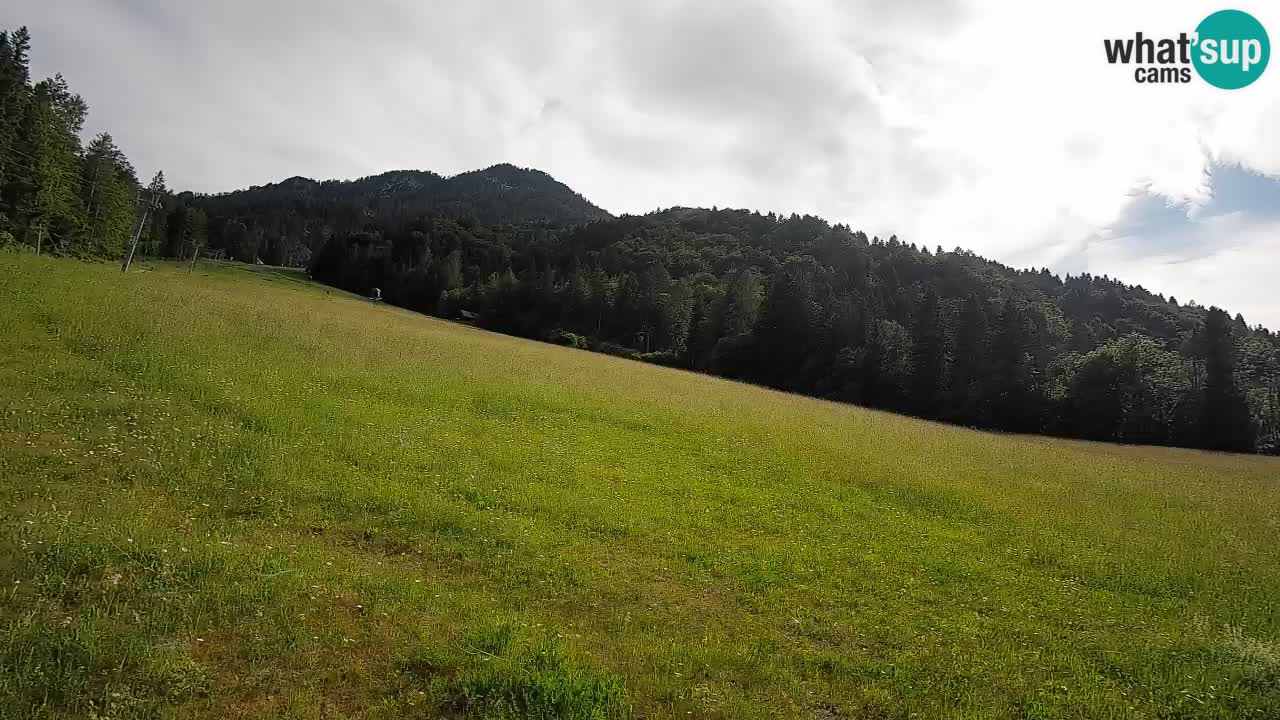 Ski Kranjska Gora | Brsnina