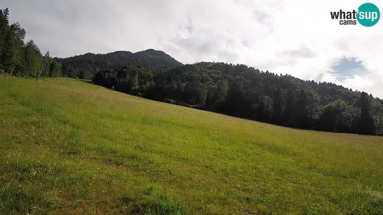 Kranjska Gora SKIJANJE | Brsnina