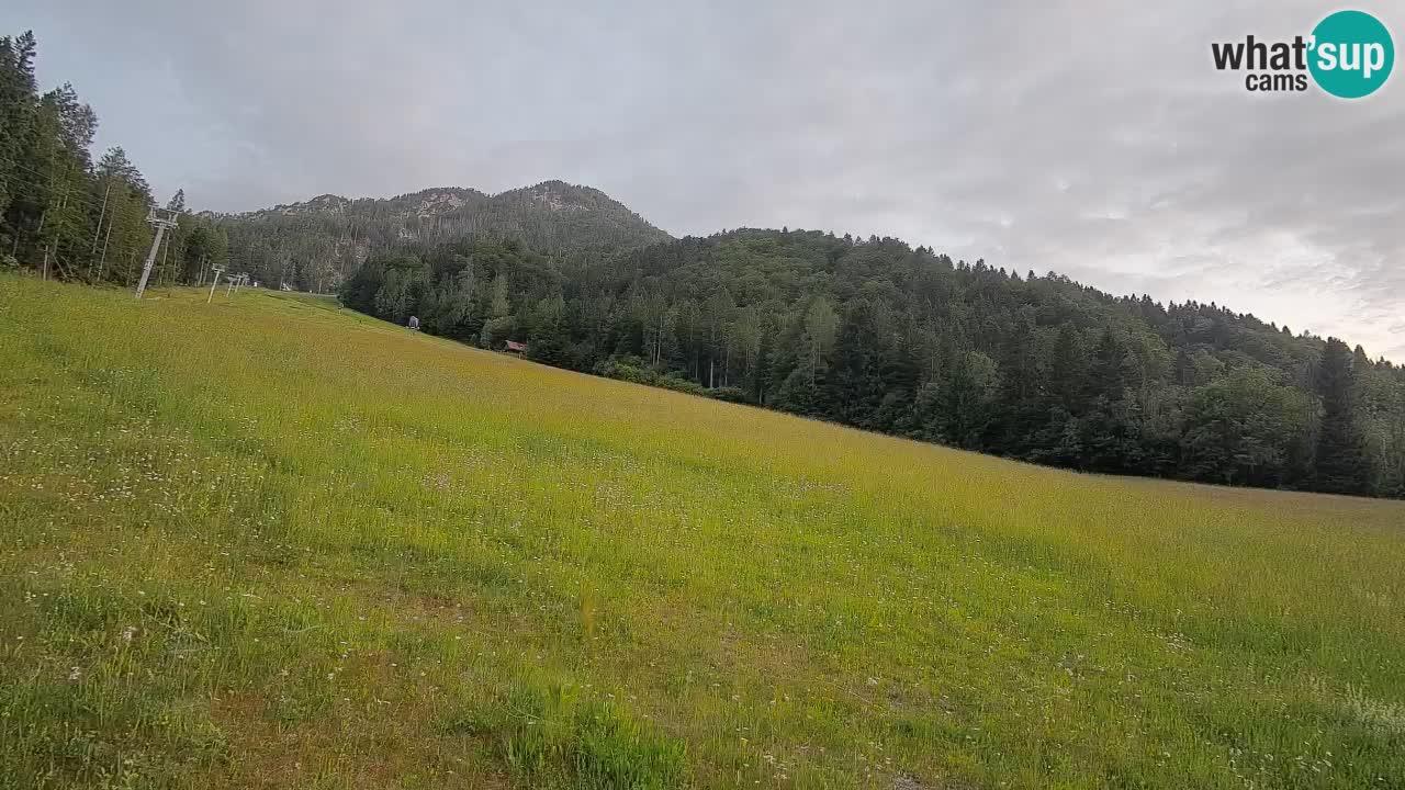 Ski Kranjska Gora | Brsnina