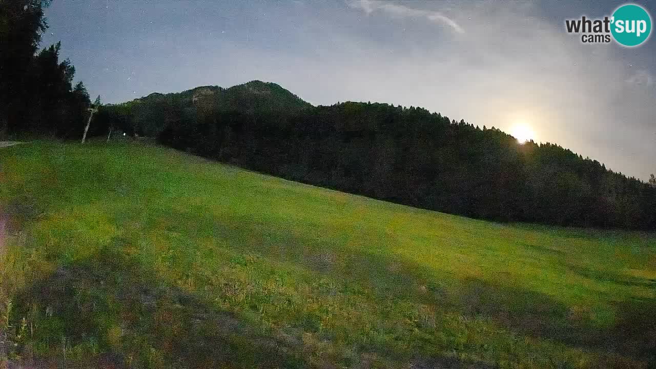 Kranjska Gora Station de ski | Brsnina