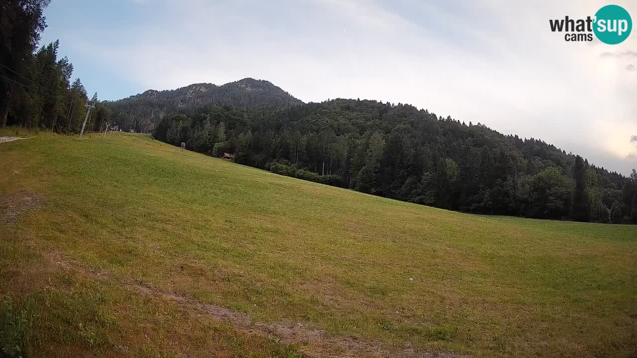 Comprensorio sciistico Kranjska Gora | Brsnina