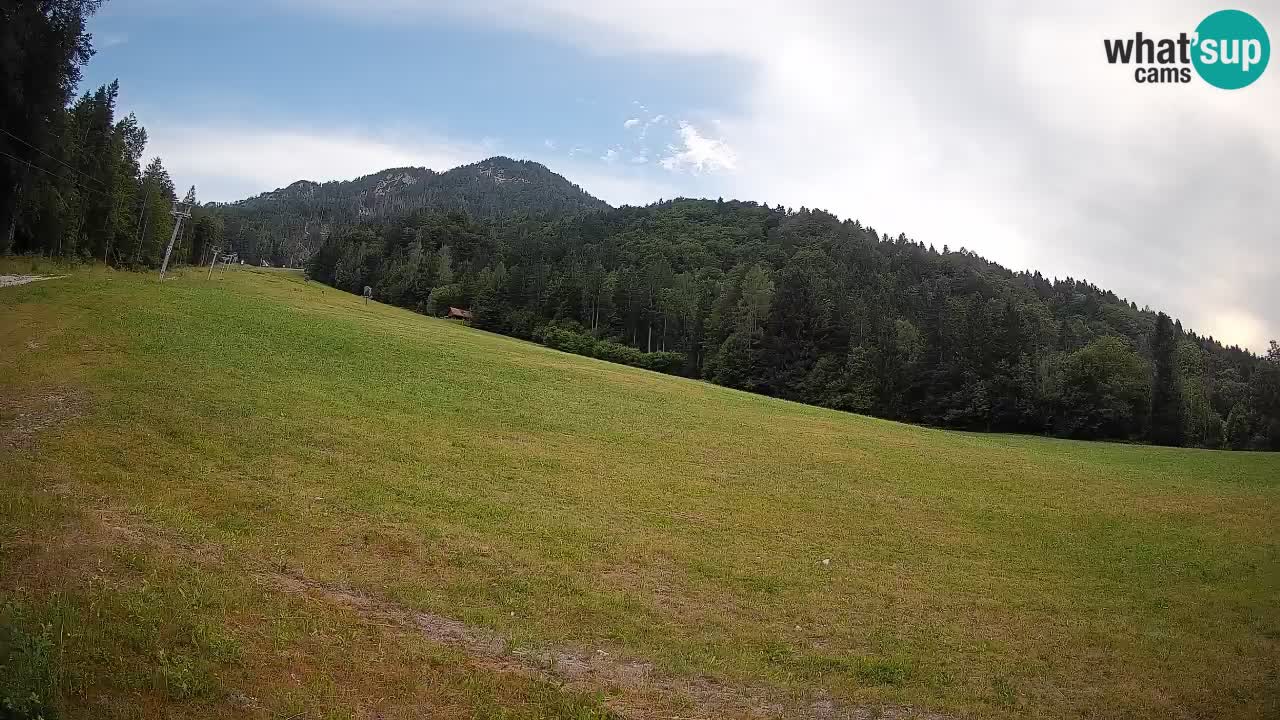Comprensorio sciistico Kranjska Gora | Brsnina