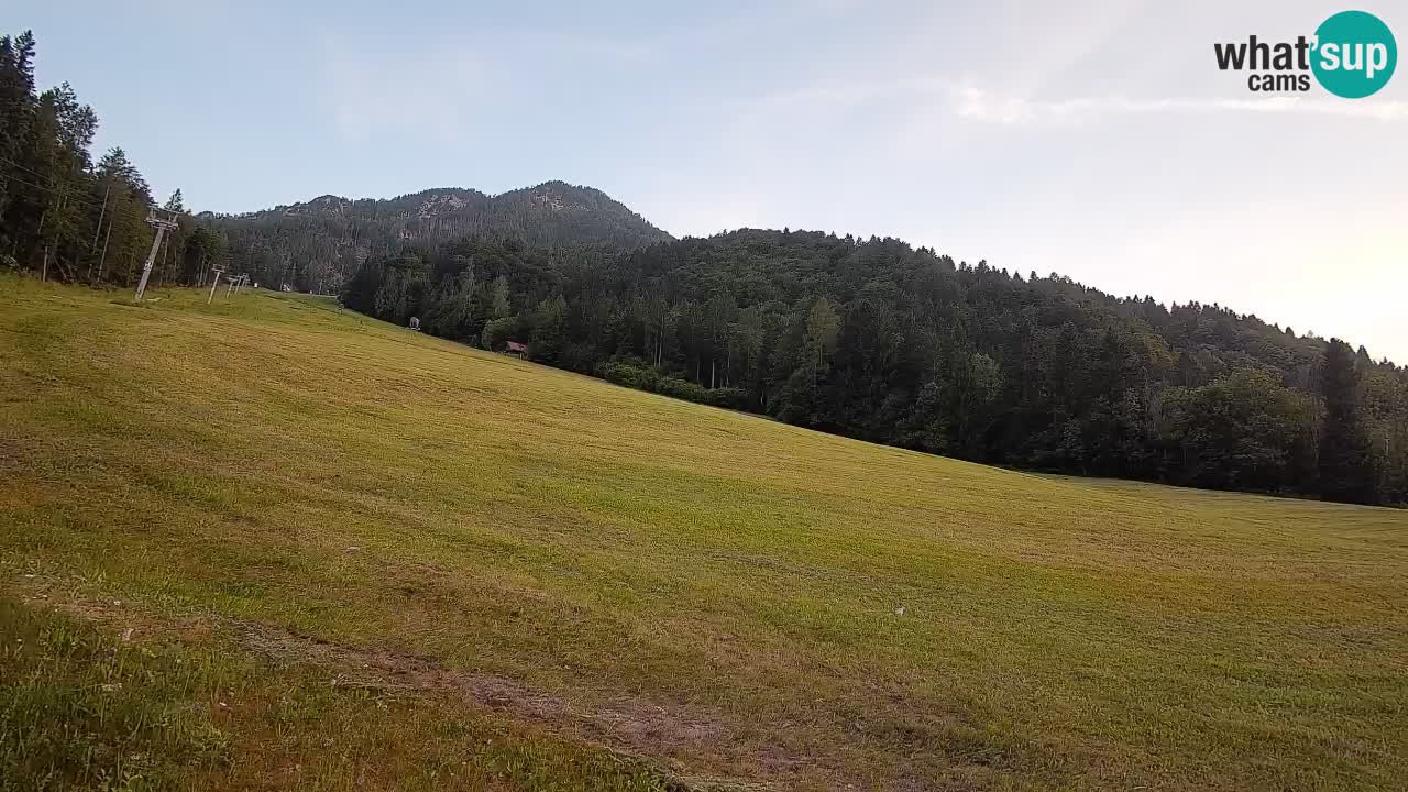 RTC Skigebiet Kranjska Gora | Brsnina