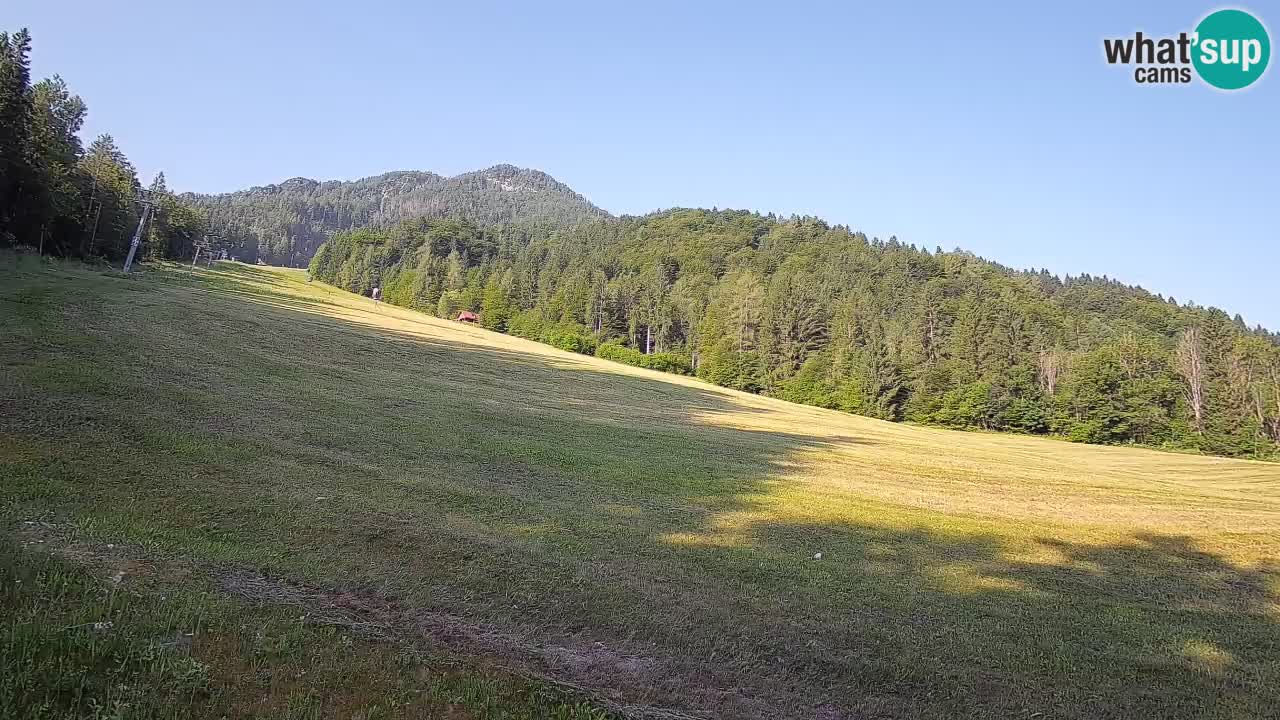 Ski Kranjska Gora | Brsnina