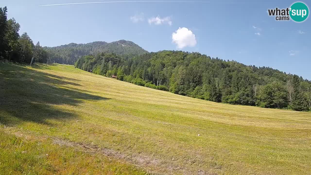 RTC Kranjska Gora | Brsnina