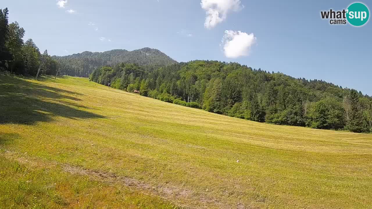 Esquí Kranjska Gora | Brsnina