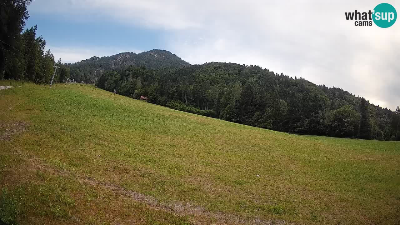 Ski Kranjska Gora | Brsnina