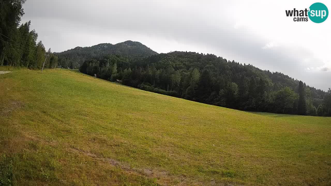 Ski Kranjska Gora | Brsnina