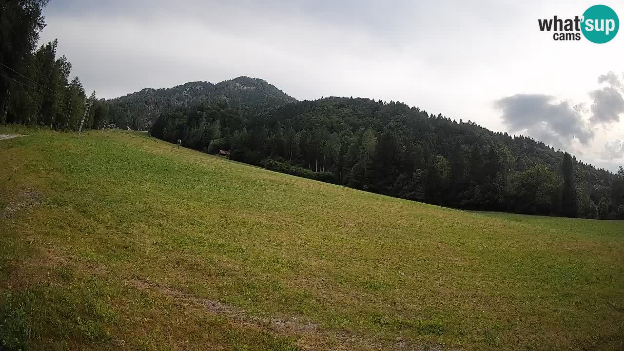 RTC Kranjska Gora | Brsnina