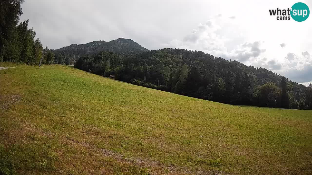RTC Kranjska Gora | Brsnina