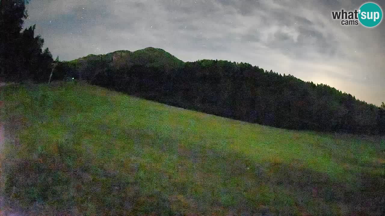 Kranjska Gora SKIJANJE | Brsnina