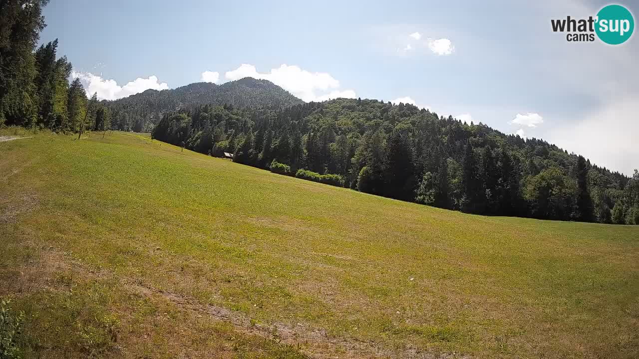 Ski Kranjska Gora | Brsnina