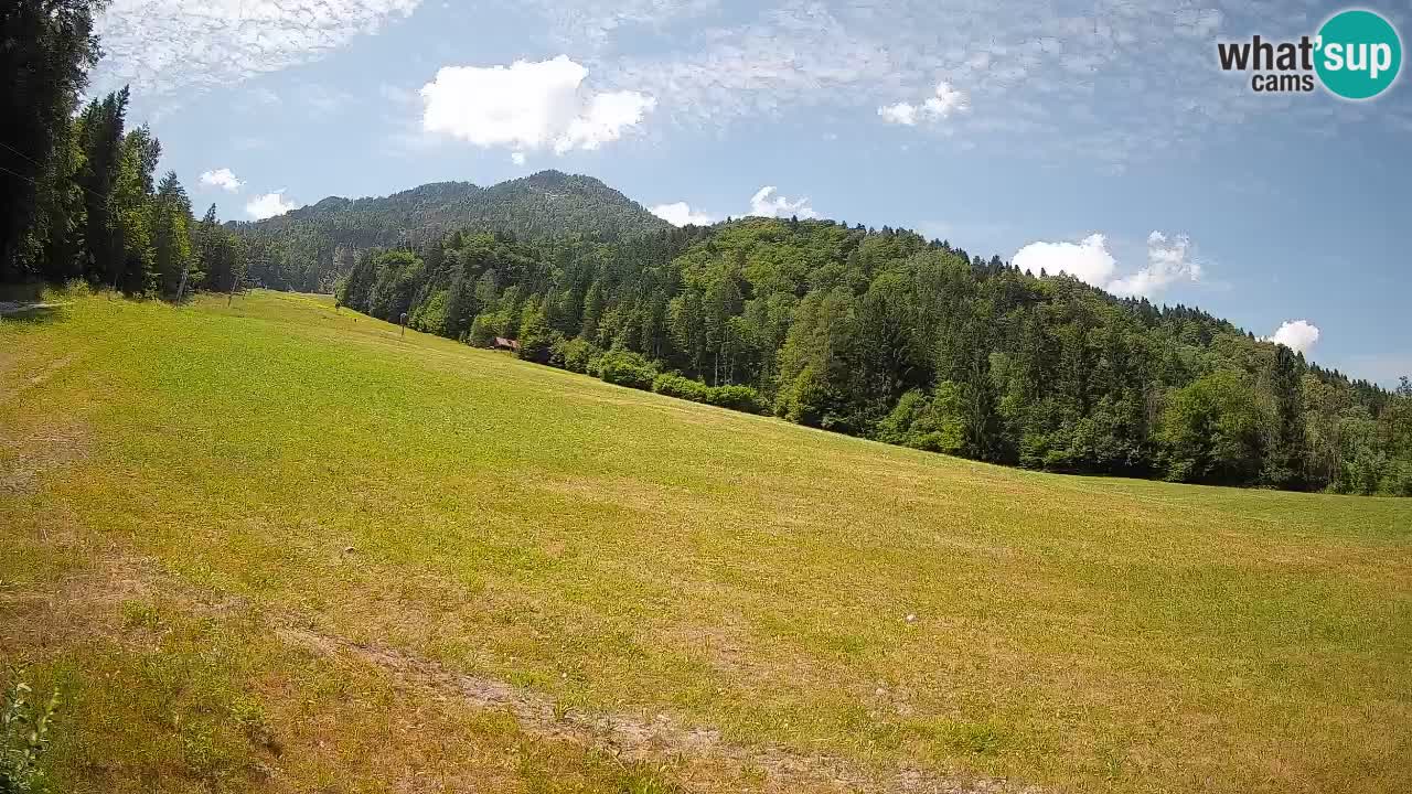 Comprensorio sciistico Kranjska Gora | Brsnina
