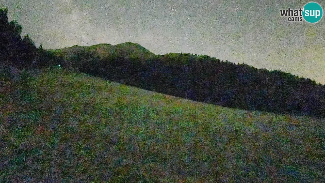 Ski Kranjska Gora | Brsnina