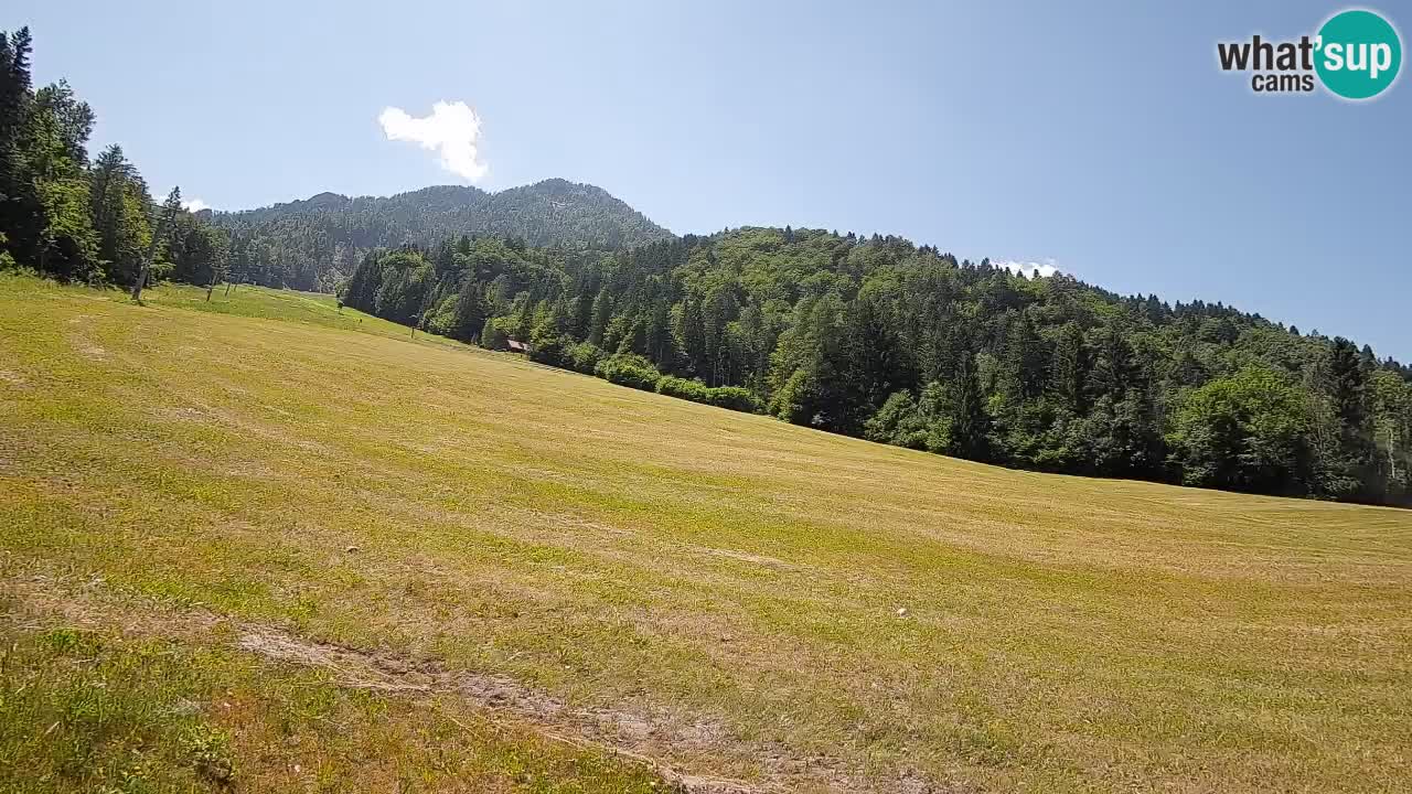 Ski Kranjska Gora | Brsnina