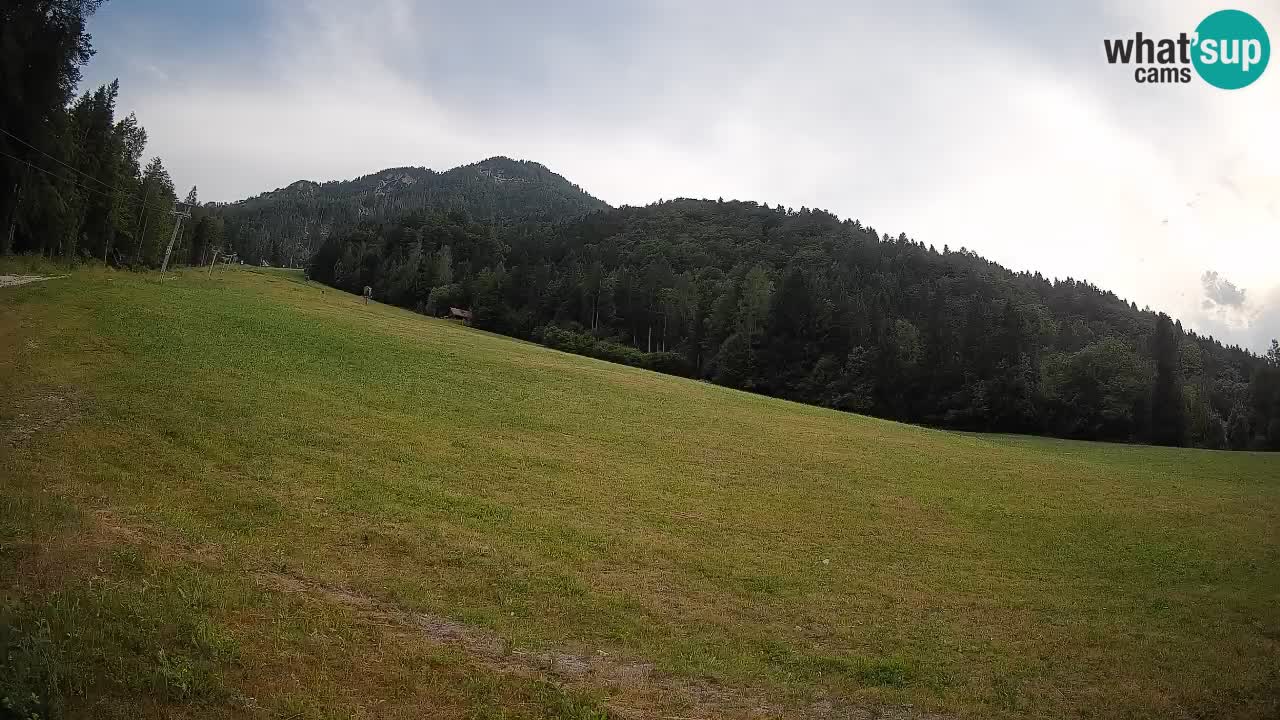 Comprensorio sciistico Kranjska Gora | Brsnina