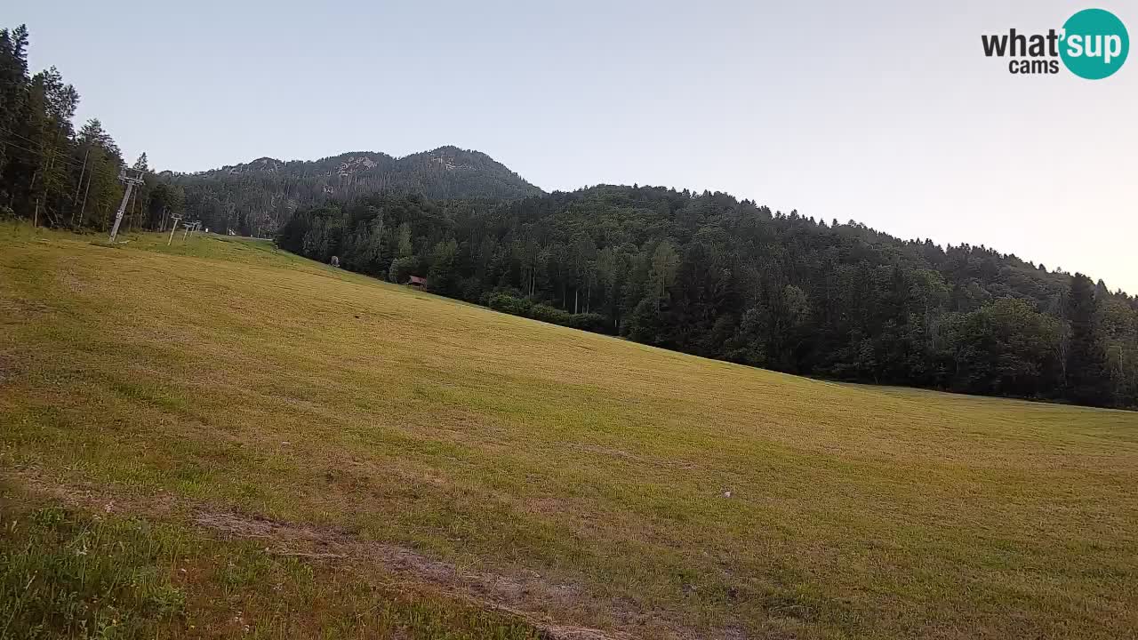 Ski Kranjska Gora | Brsnina