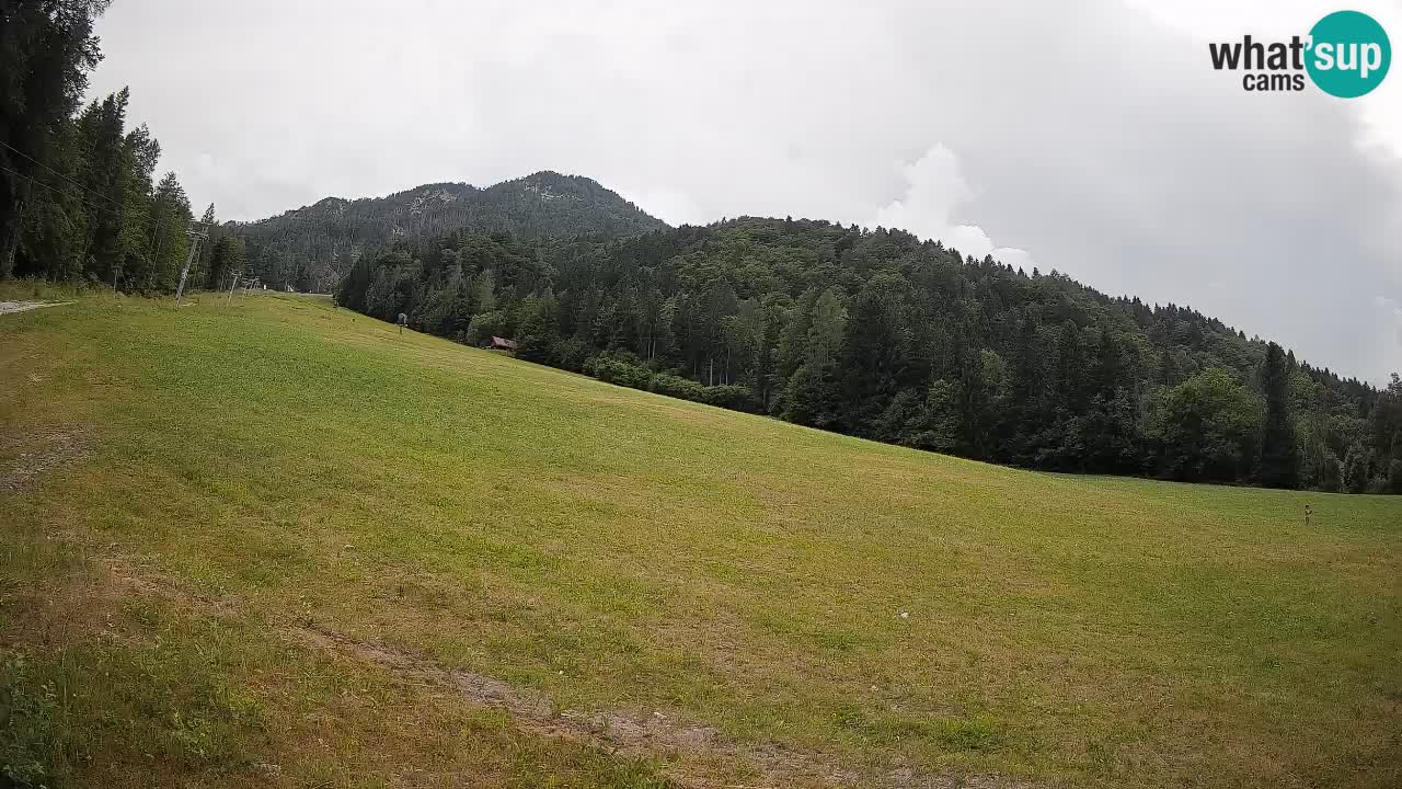 RTC Kranjska Gora | Brsnina