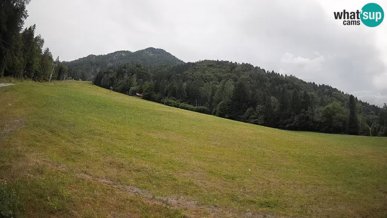 Ski Kranjska Gora | Brsnina