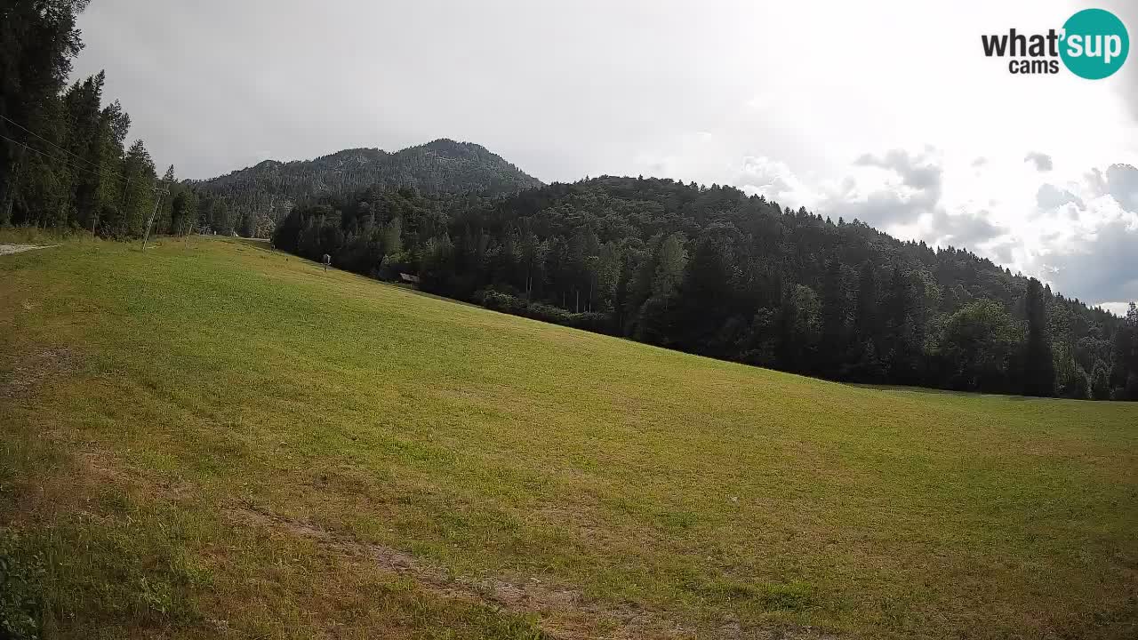 RTC Skigebiet Kranjska Gora | Brsnina