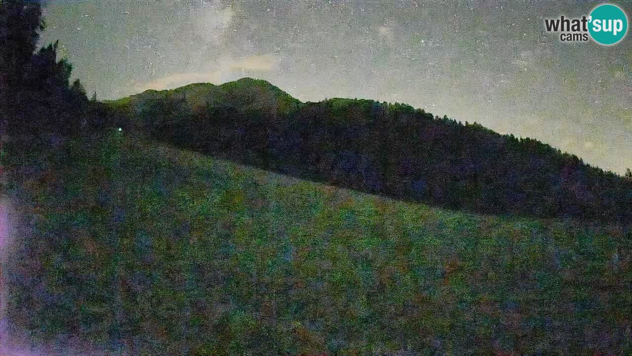 Ski Kranjska Gora | Brsnina